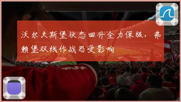沃尔夫斯堡状态回升全力保级,弗赖堡双线作战恐受影响